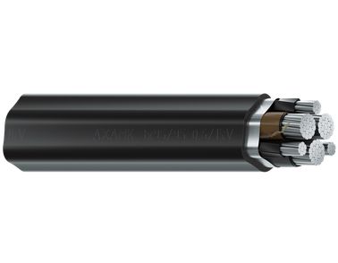 Image of cable AXAMK