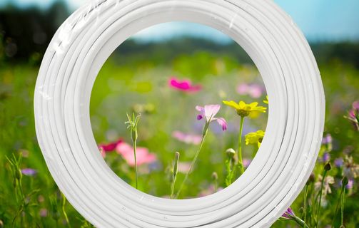 Image of cable in flower field