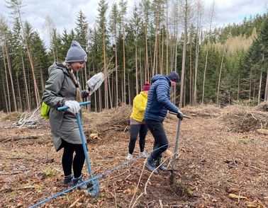 Planting trees